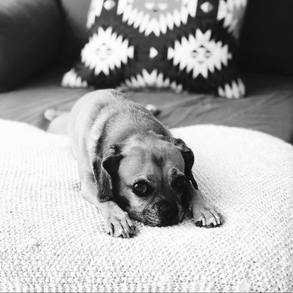 t h x  f o r  s t o p p i n g  b y - Picture 5 of 8